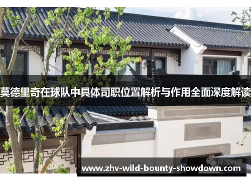 莫德里奇在球队中具体司职位置解析与作用全面深度解读