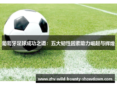 葡萄牙足球成功之道:五大韧性因素助力崛起与辉煌 葡萄牙足球成功之道:五大韧性因素助力崛起与辉煌